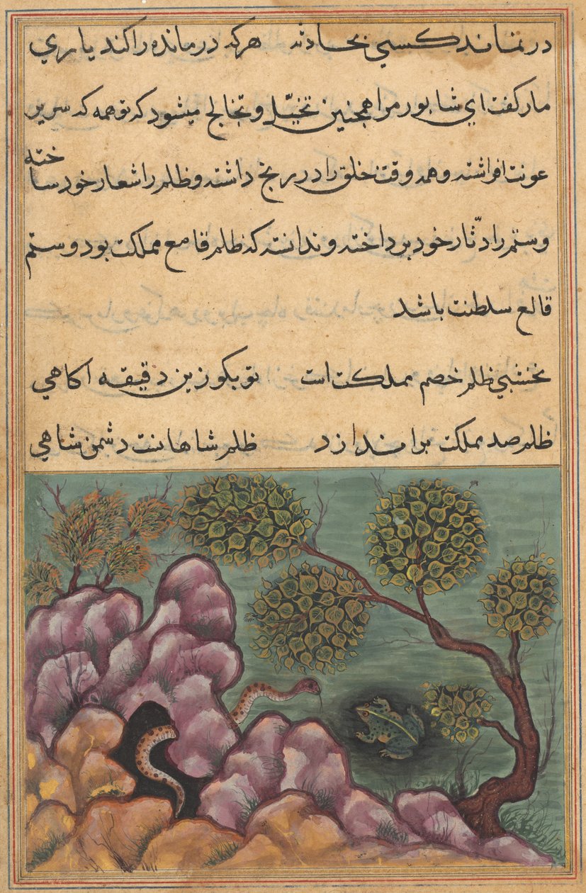 Side fra Tales of a Parrot Tuti-nama: Seksogtyvende nat: Den detroniserede frø..., ca. 1560. af Unbekannt