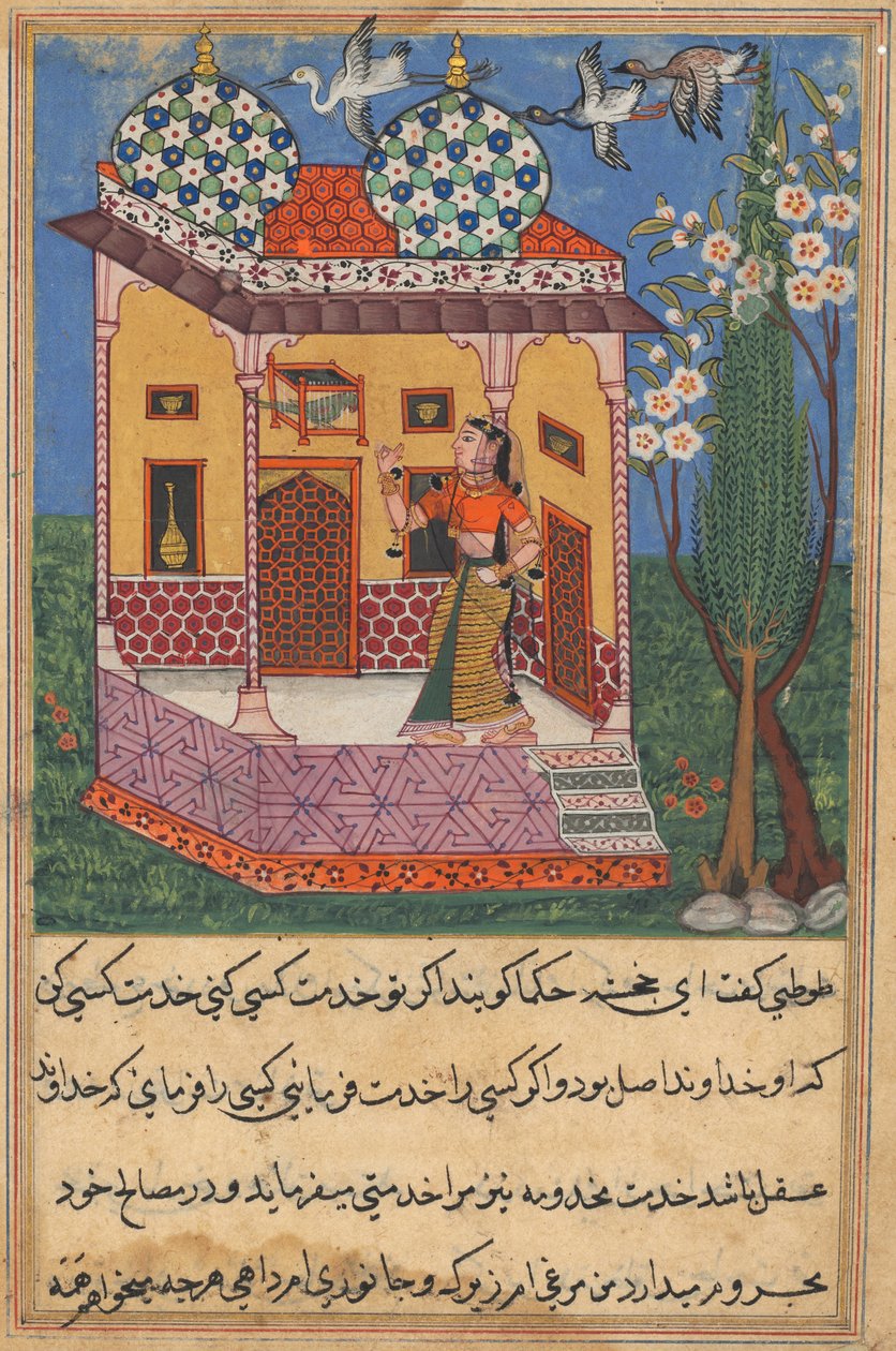 Side fra Tales of a Parrot Tuti-nama: Seksogtyvende nat: Papegøjen henvender sig til Khujasta..., c1560 af Unbekannt