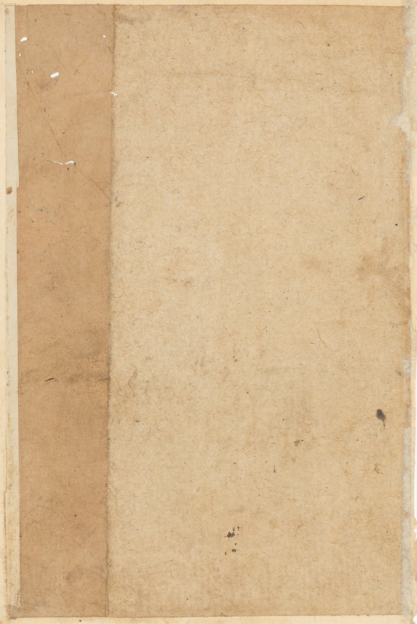 Side fra Tales of a Parrot Tuti-nama: blank side, ca. 1560. af Unbekannt