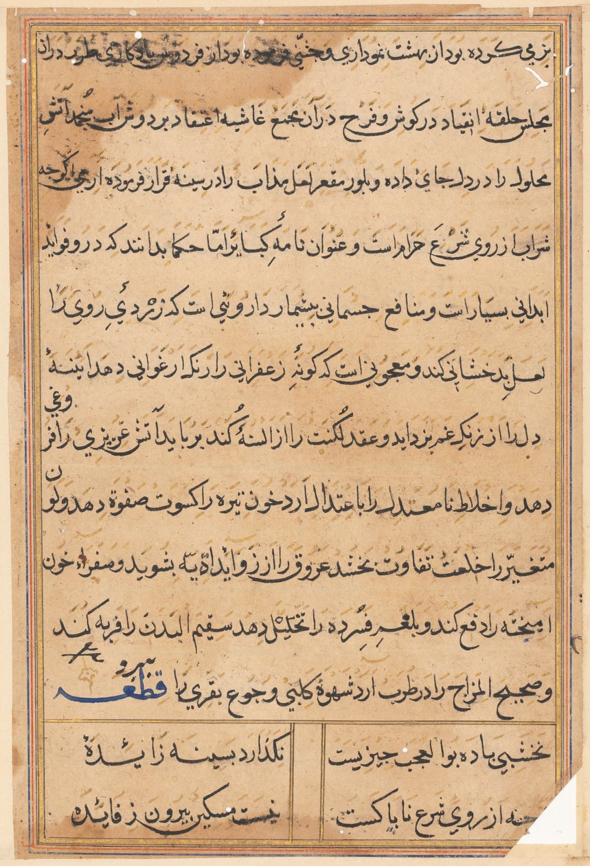 Side fra Tales of a Parrot Tuti-nama: tekstside, ca. 1560. af Unbekannt