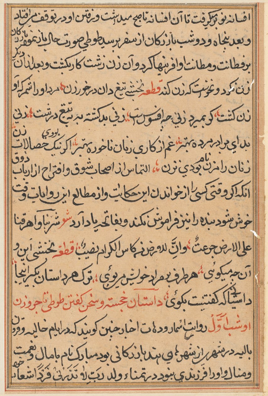Side fra Tales of a Parrot Tuti-nama: tekstside, ca. 1560. af Unbekannt