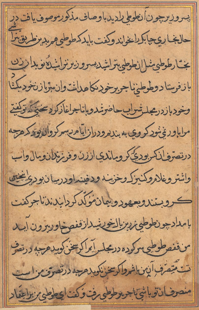 Side fra Tales of a Parrot Tuti-nama: tekstside, ca. 1560. af Unbekannt
