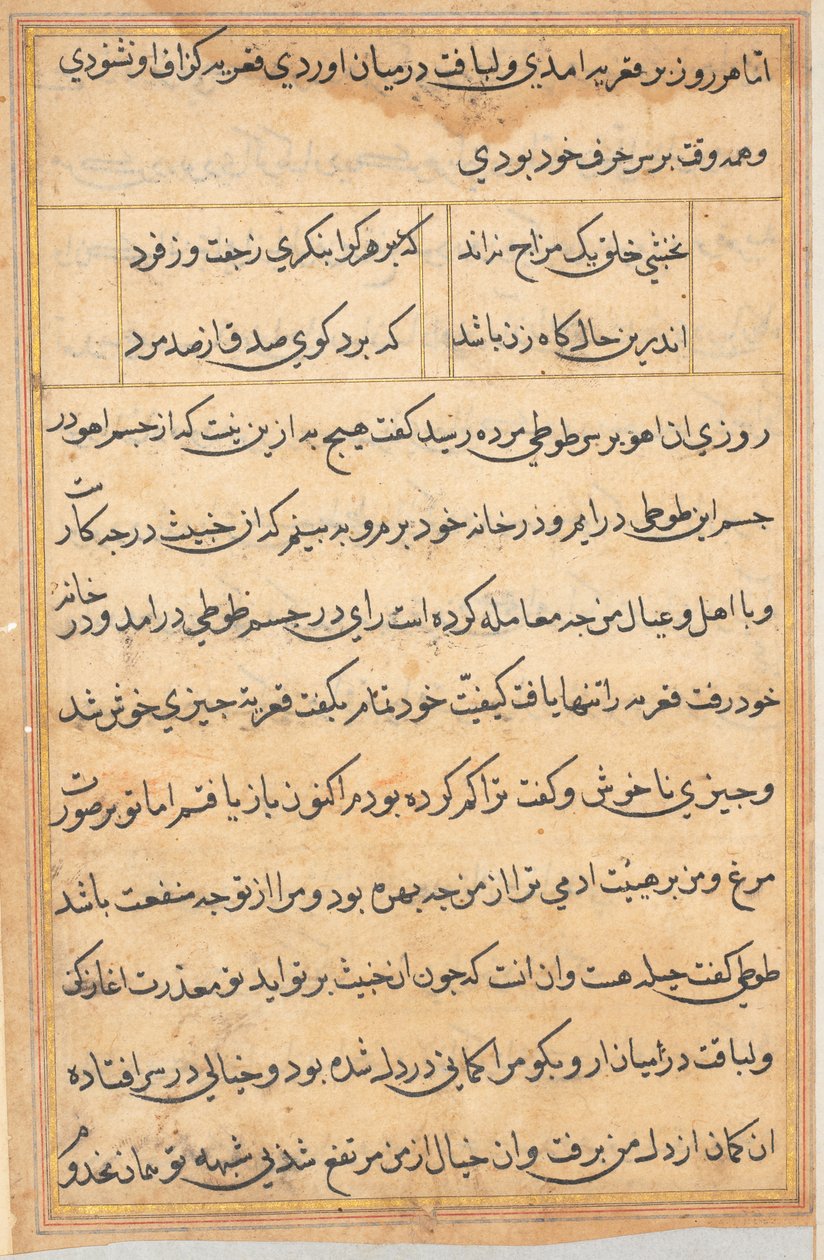 Side fra Tales of a Parrot Tuti-nama: tekstside, ca. 1560. af Unbekannt