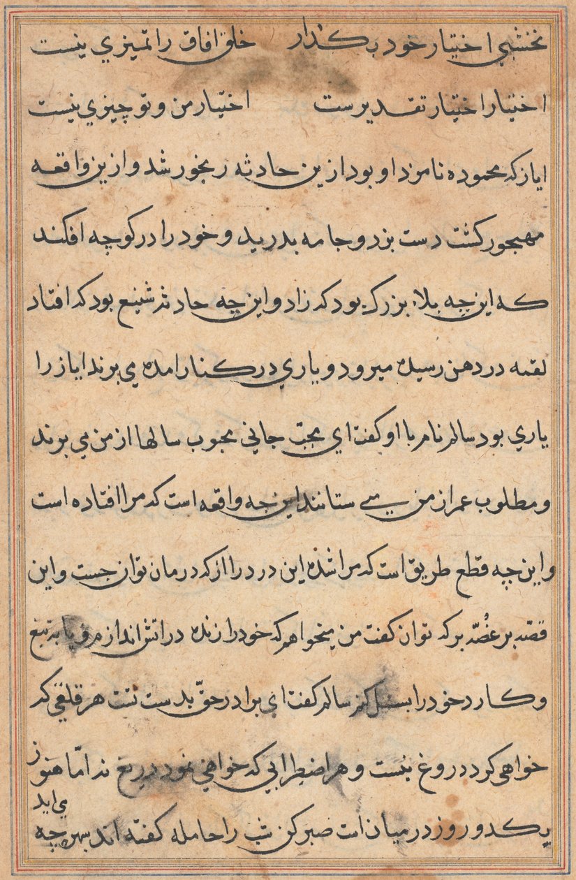 Side fra Tales of a Parrot Tuti-nama: tekstside, ca. 1560. af Unbekannt