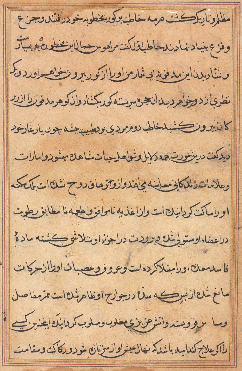 Side fra Tales of a Parrot Tuti-nama: tekstside, ca. 1560. af Unbekannt