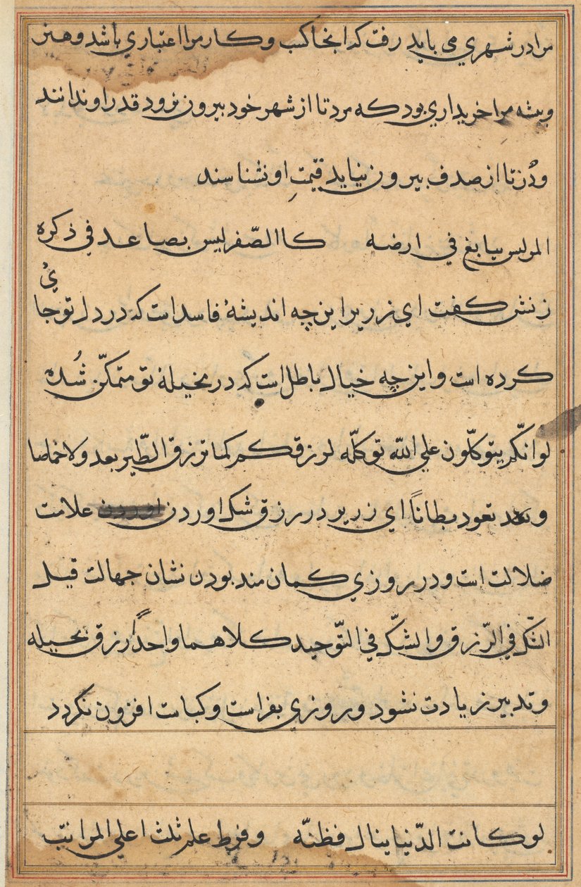 Side fra Tales of a Parrot Tuti-nama: tekstside, ca. 1560. af Unbekannt