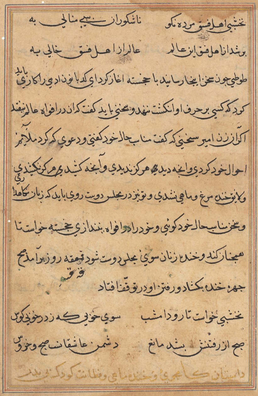 Side fra Tales of a Parrot Tuti-nama: tekstside, ca. 1560. af Unbekannt