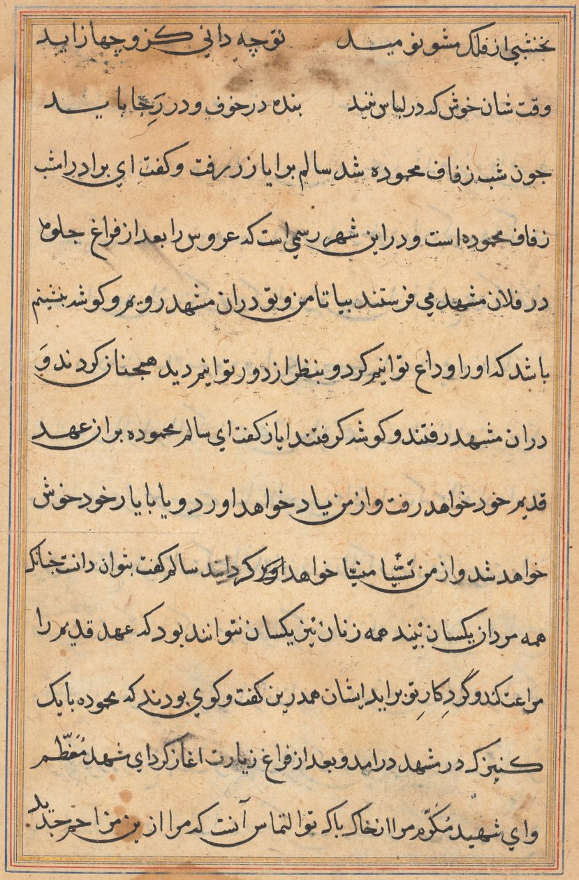 Side fra Tales of a Parrot Tuti-nama: tekstside, ca. 1560. af Unbekannt