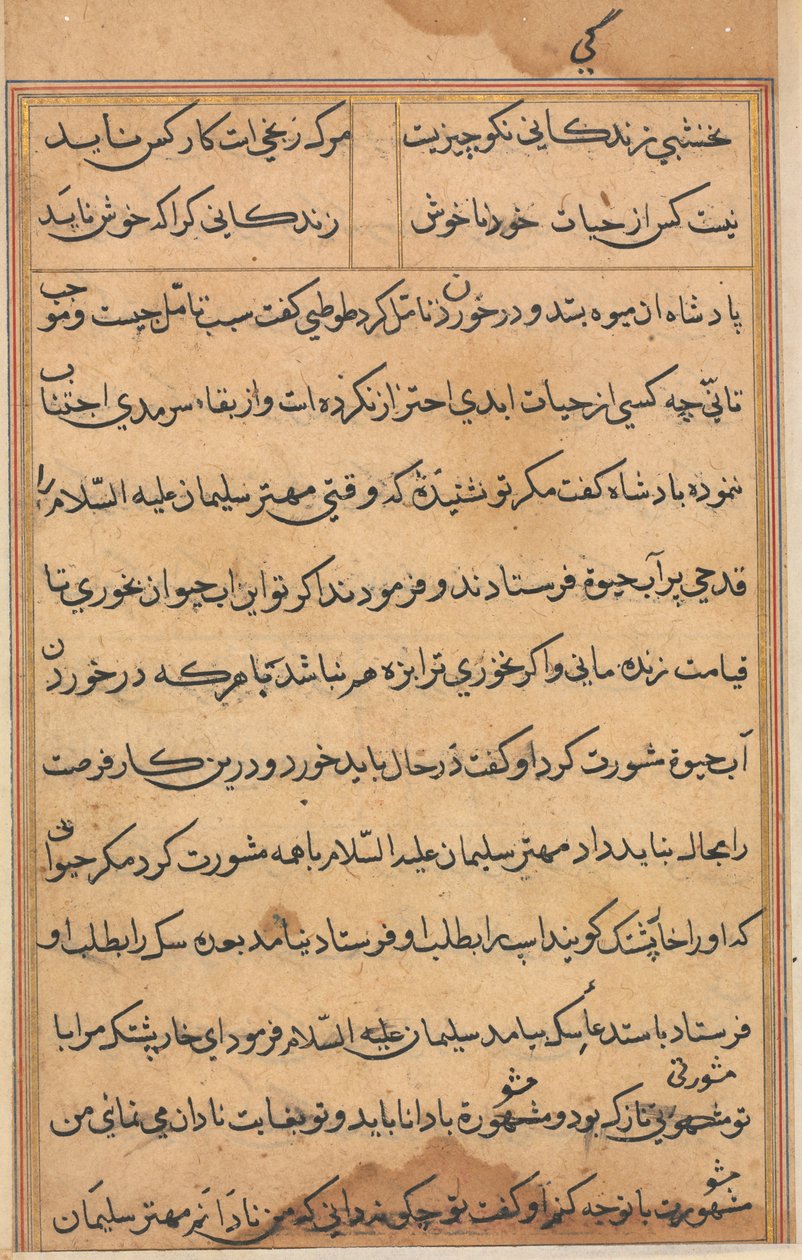 Side fra Tales of a Parrot Tuti-nama: tekstside, ca. 1560. af Unbekannt