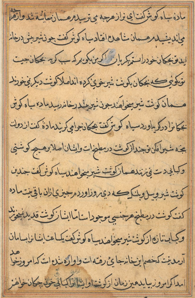 Side fra Tales of a Parrot Tuti-nama: tekstside, ca. 1560. af Unbekannt