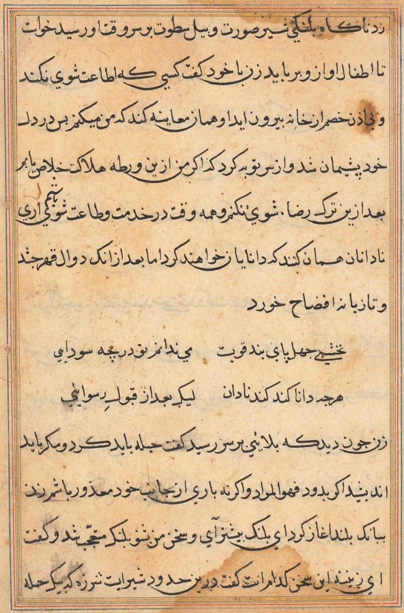 Side fra Tales of a Parrot Tuti-nama: tekstside, ca. 1560. af Unbekannt