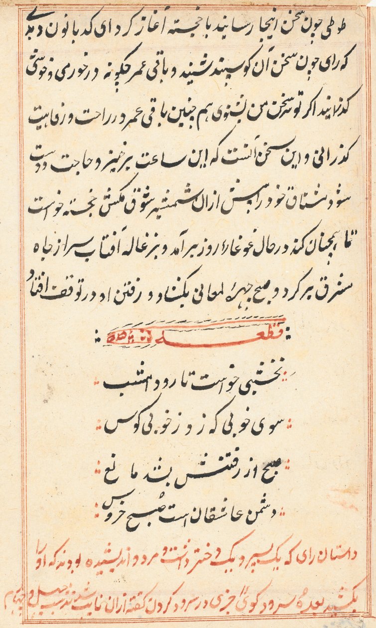 Side fra Tales of a Parrot Tuti-nama: tekstside, ca. 1560. af Unbekannt