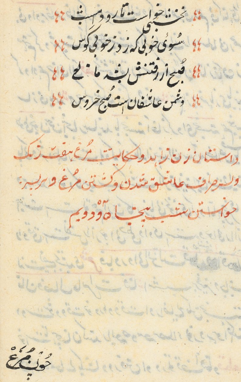 Side fra Tales of a Parrot Tuti-nama: tekstside, ca. 1560. af Unbekannt