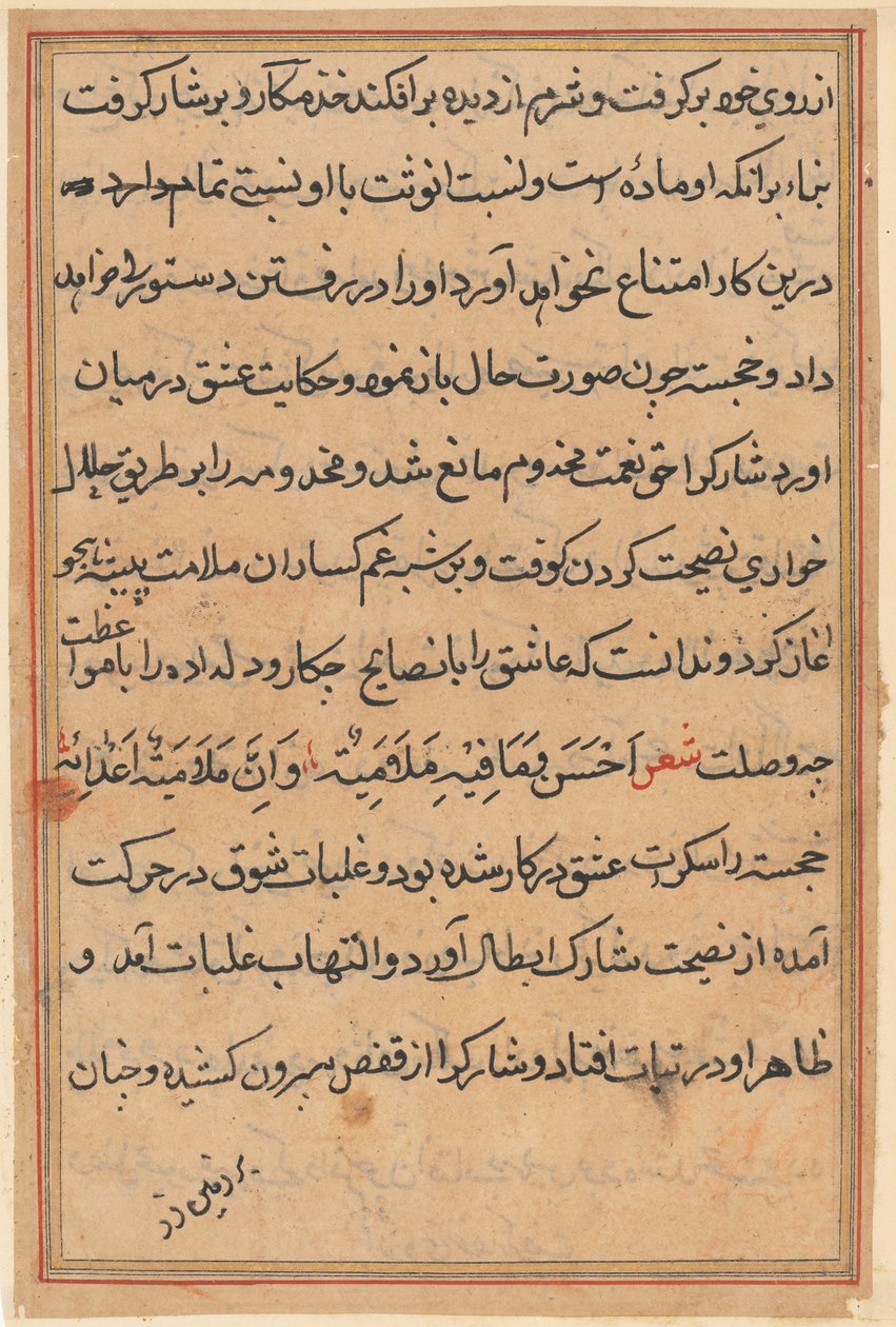 Side fra Tales of a Parrot Tuti-nama: tekstside, ca. 1560. af Unbekannt