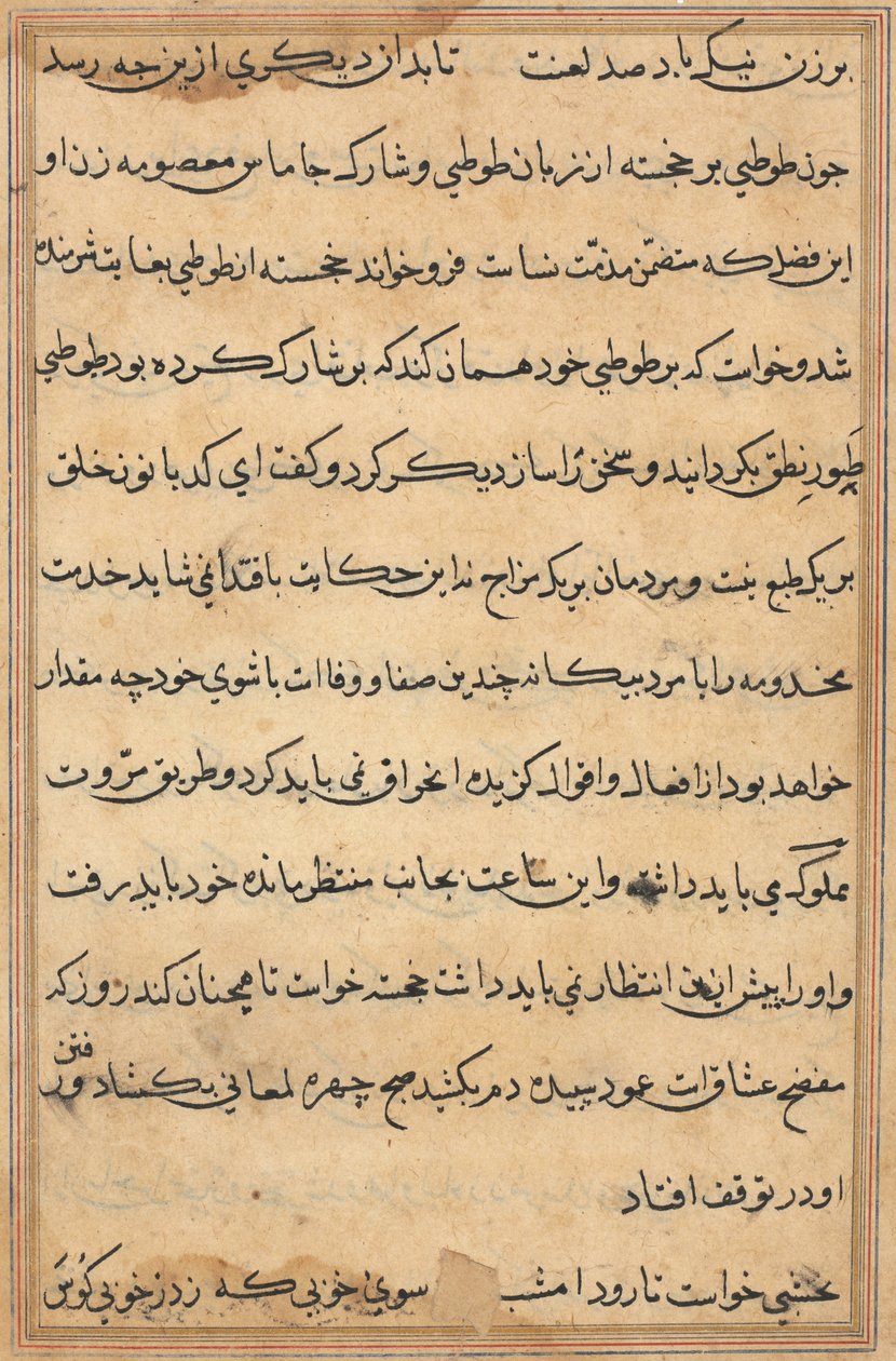 Side fra Tales of a Parrot Tuti-nama: tekstside, ca. 1560. af Unbekannt