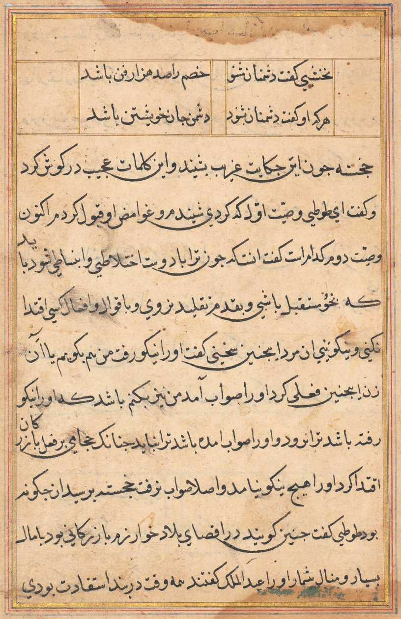 Side fra Tales of a Parrot Tuti-nama: tekstside, ca. 1560. af Unbekannt