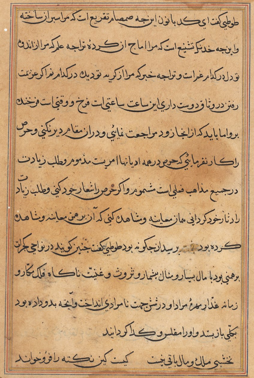 Side fra Tales of a Parrot Tuti-nama: tekstside, ca. 1560. af Unbekannt
