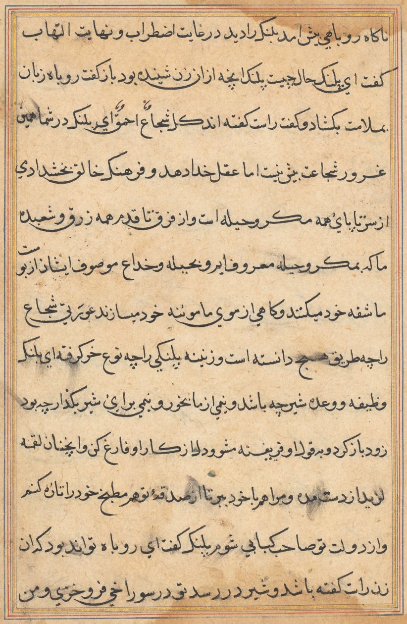 Side fra Tales of a Parrot Tuti-nama: tekstside, ca. 1560. af Unbekannt