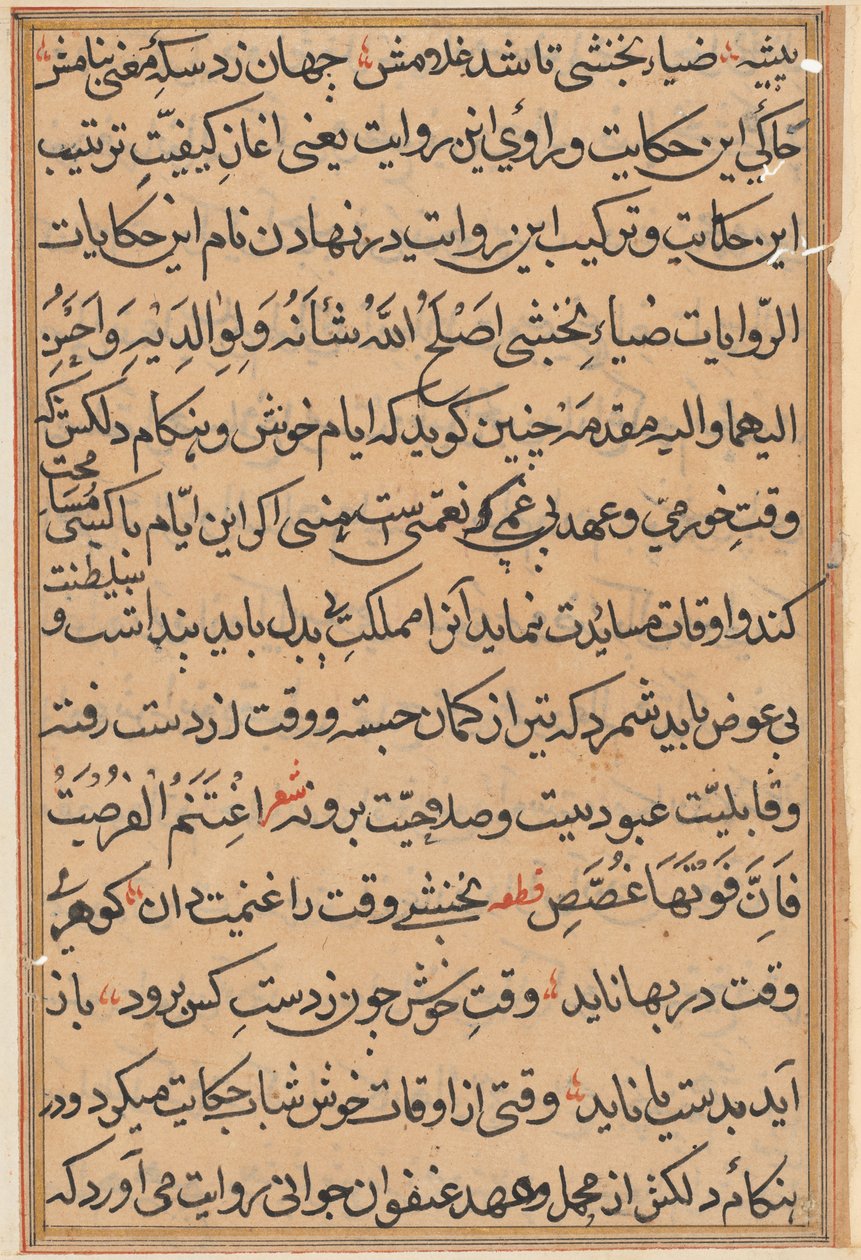 Side fra Tales of a Parrot Tuti-nama: tekstside, ca. 1560. af Unbekannt