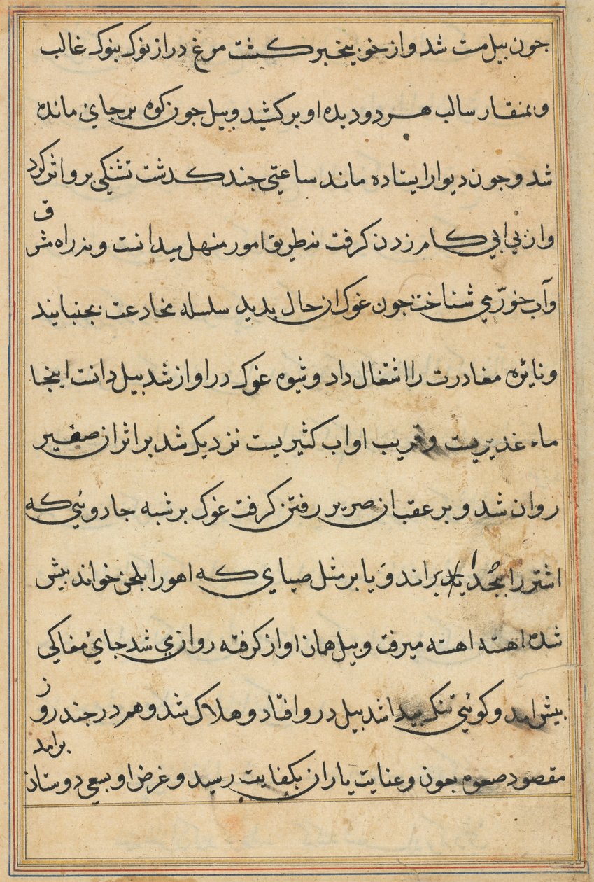 Side fra Tales of a Parrot Tuti-nama: tekstside, ca. 1560. af Unbekannt