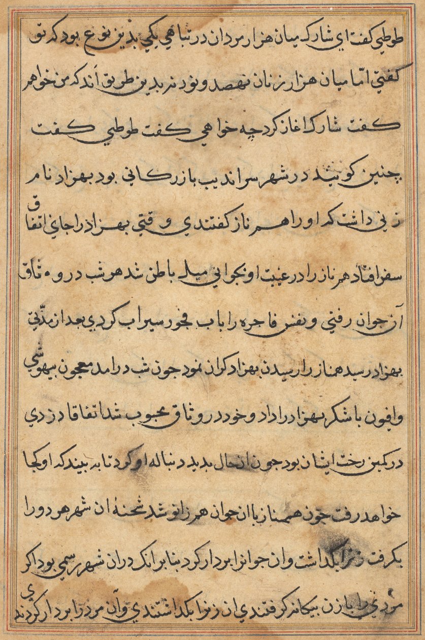 Side fra Tales of a Parrot Tuti-nama: tekstside, ca. 1560. af Unbekannt