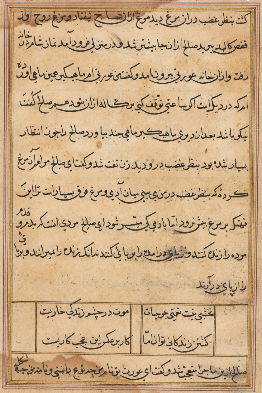Side fra Tales of a Parrot Tuti-nama: tekstside, ca. 1560. af Unbekannt