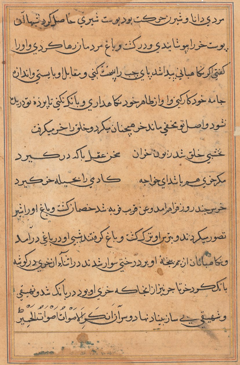 Side fra Tales of a Parrot Tuti-nama: tekstside, ca. 1560. af Unbekannt
