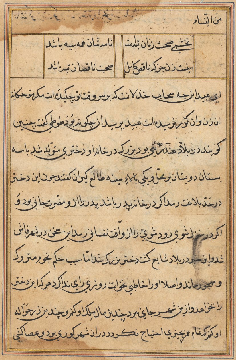 Side fra Tales of a Parrot Tuti-nama: tekstside, ca. 1560. af Unbekannt