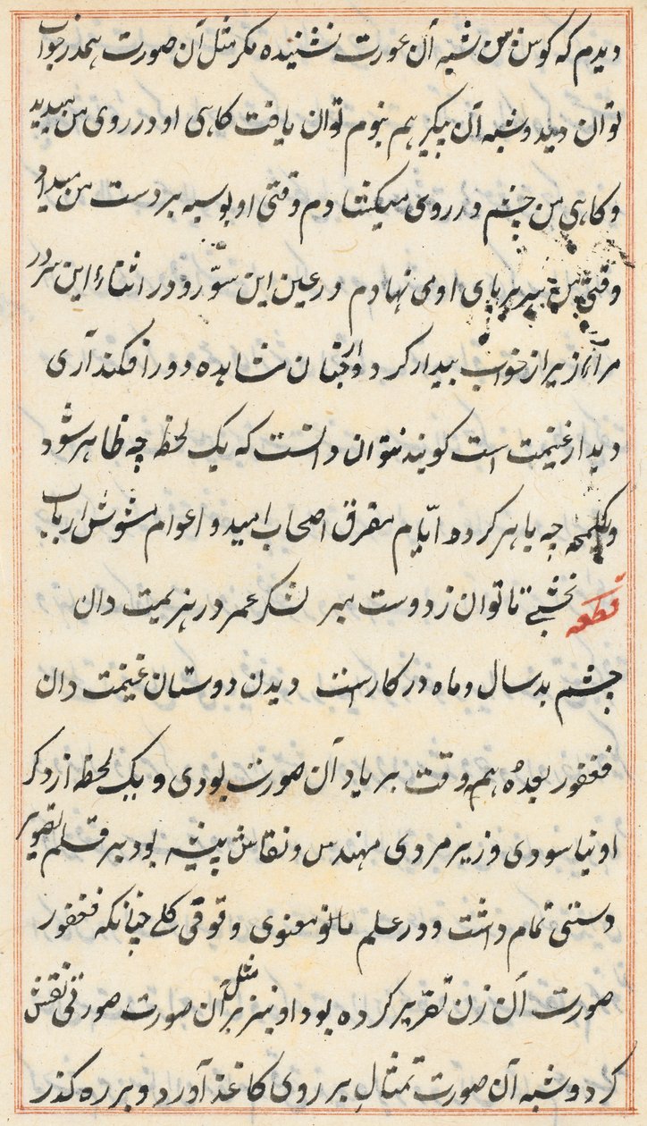 Side fra Tales of a Parrot Tuti-nama: tekstside, ca. 1560. af Unbekannt