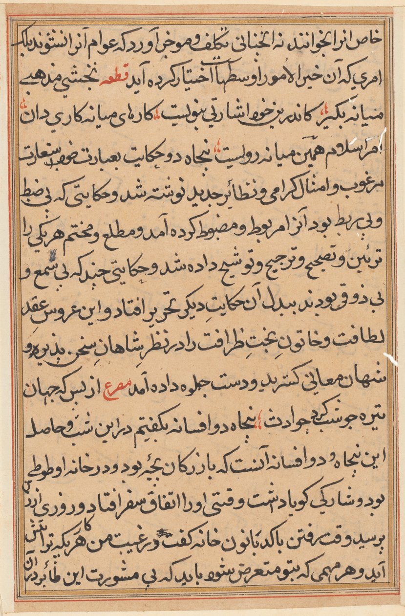Side fra Tales of a Parrot Tuti-nama: tekstside, ca. 1560. af Unbekannt