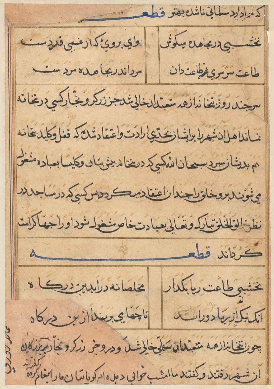 Side fra Tales of a Parrot Tuti-nama: tekstside, ca. 1560. af Unbekannt