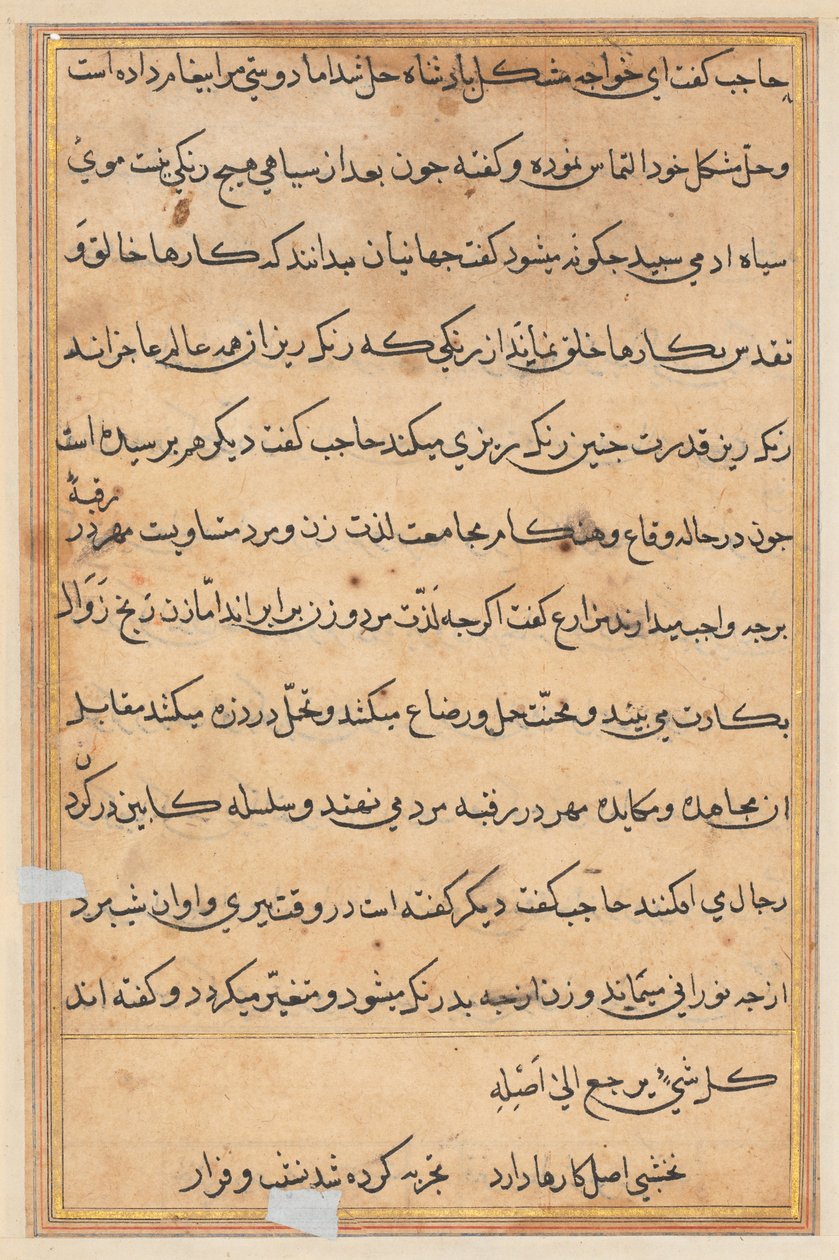 Side fra Tales of a Parrot Tuti-nama: tekstside, ca. 1560. af Unbekannt