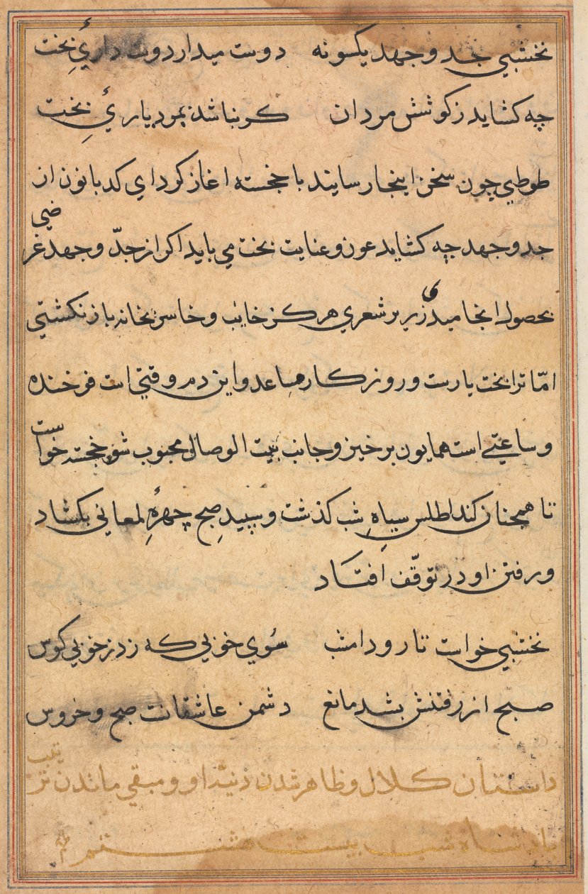Side fra Tales of a Parrot Tuti-nama: tekstside, ca. 1560. af Unbekannt