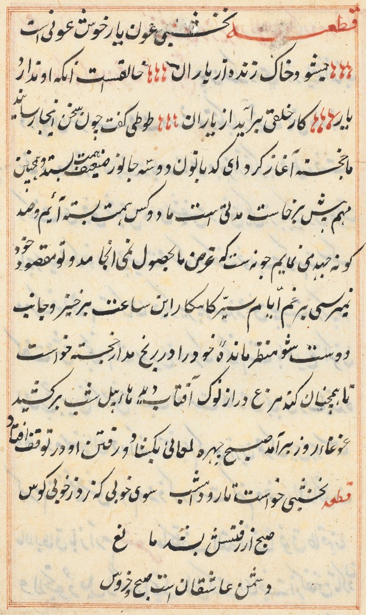 Side fra Tales of a Parrot Tuti-nama: tekstside, ca. 1560. af Unbekannt