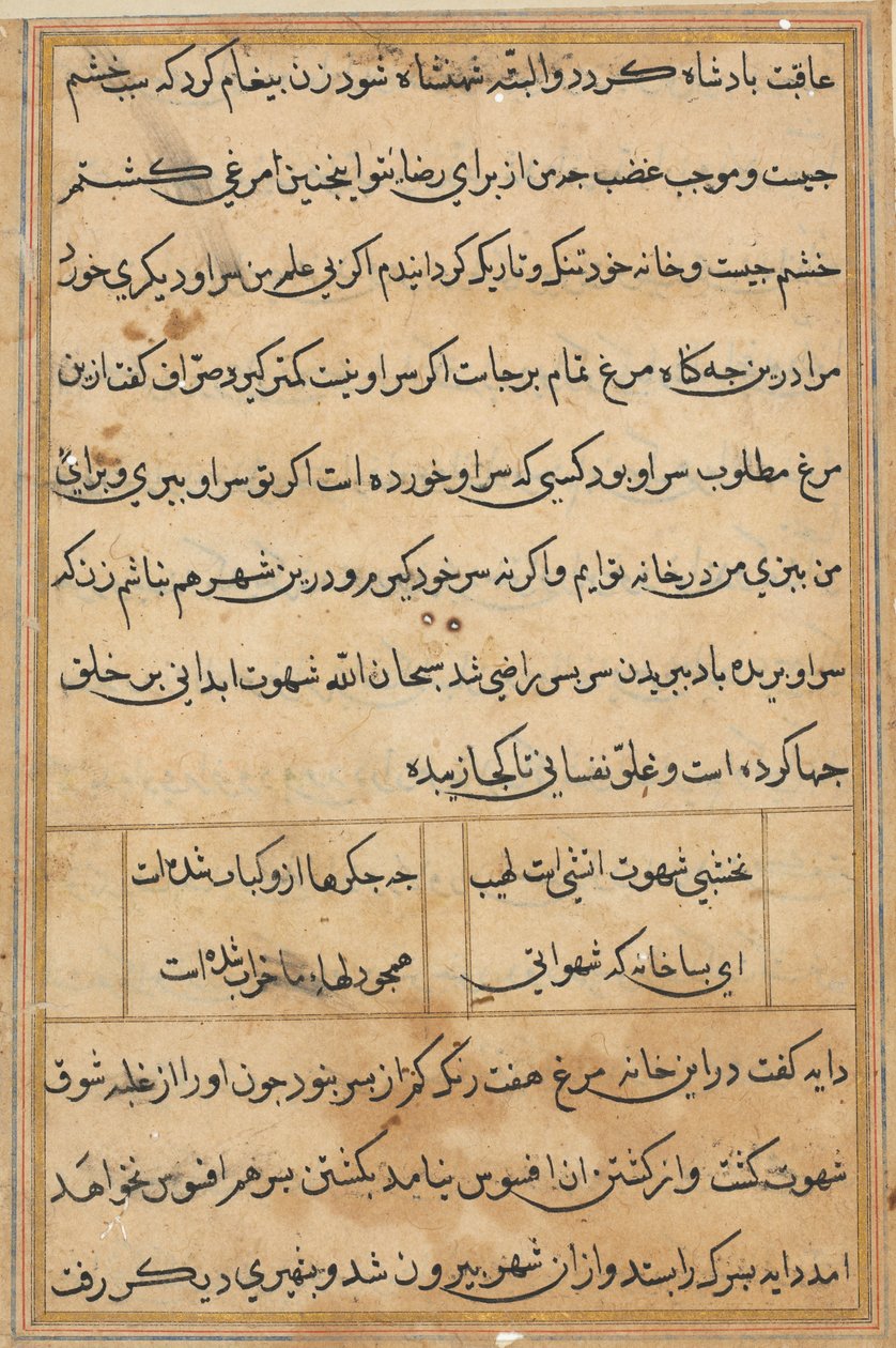 Side fra Tales of a Parrot Tuti-nama: tekstside, ca. 1560. af Unbekannt