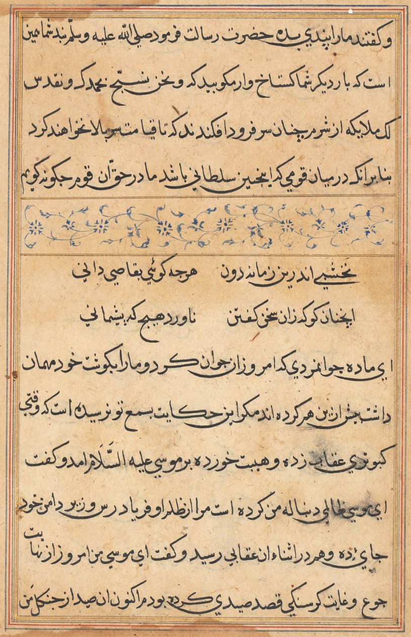 Side fra Tales of a Parrot Tuti-nama: tekstside, ca. 1560. af Unbekannt