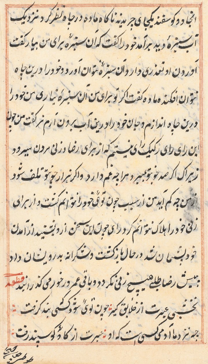 Side fra Tales of a Parrot Tuti-nama: tekstside, ca. 1560. af Unbekannt