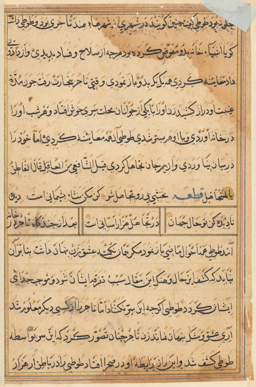 Side fra Tales of a Parrot Tuti-nama: tekstside, ca. 1560. af Unbekannt