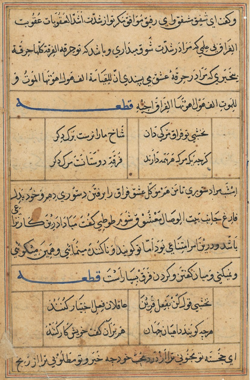 Side fra Tales of a Parrot Tuti-nama: tekstside, ca. 1560. af Unbekannt