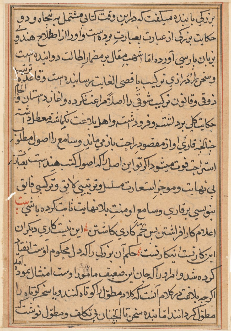 Side fra Tales of a Parrot Tuti-nama: tekstside, ca. 1560. af Unbekannt