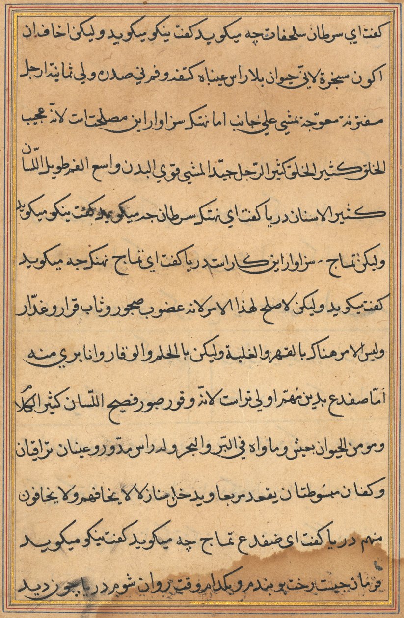 Side fra Tales of a Parrot Tuti-nama: tekstside, ca. 1560. af Unbekannt