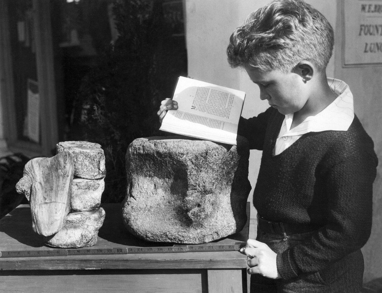 Palos Verdes, Californien: ca. 1927 En ung dreng studerer arkæologi med brug af en forstenede forhistorisk hvirvler fundet i de nærliggende bakker. (s/h foto) af Unbekannt