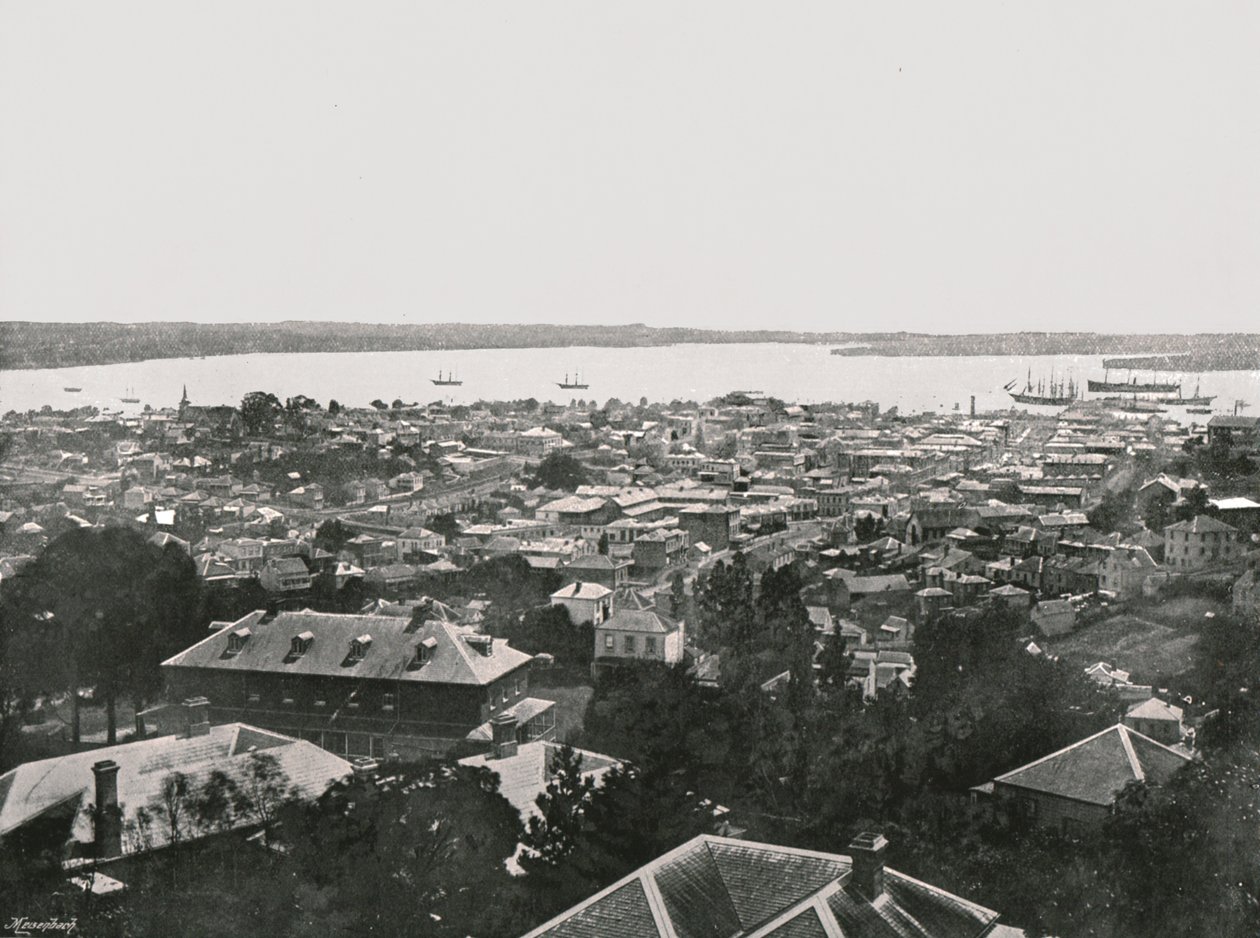Panoramaudsigt fra bakkerne, Auckland, New Zealand, 1895. af Unbekannt