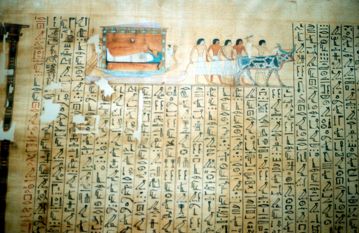 Papyrus fra en gammel egyptisk dødebog af Unbekannt