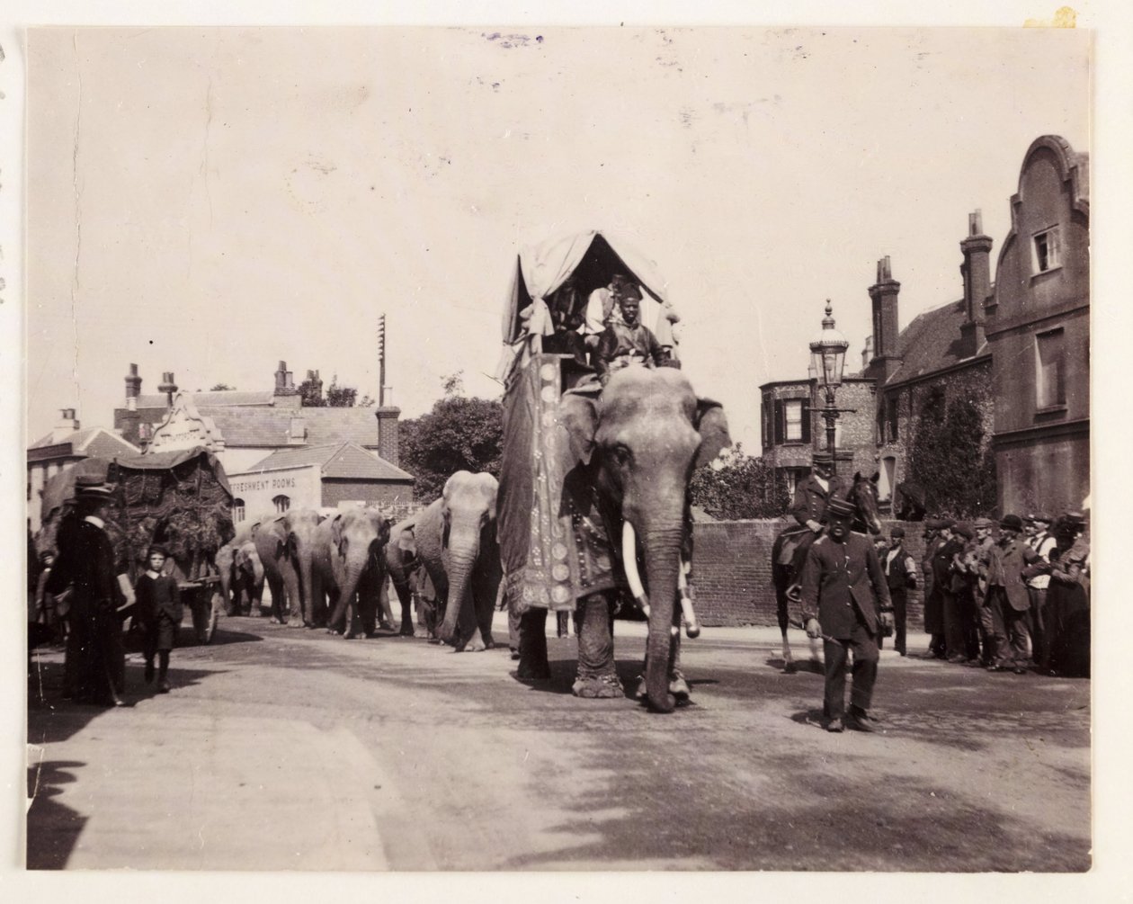Parade af elefanter, ca 1905 af Unbekannt
