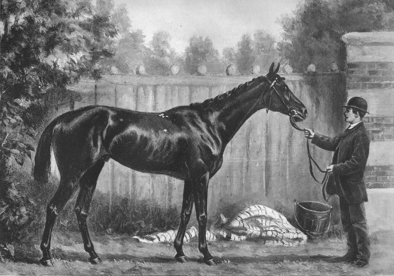 Paradox, 1882-1890, 1911 af Unbekannt