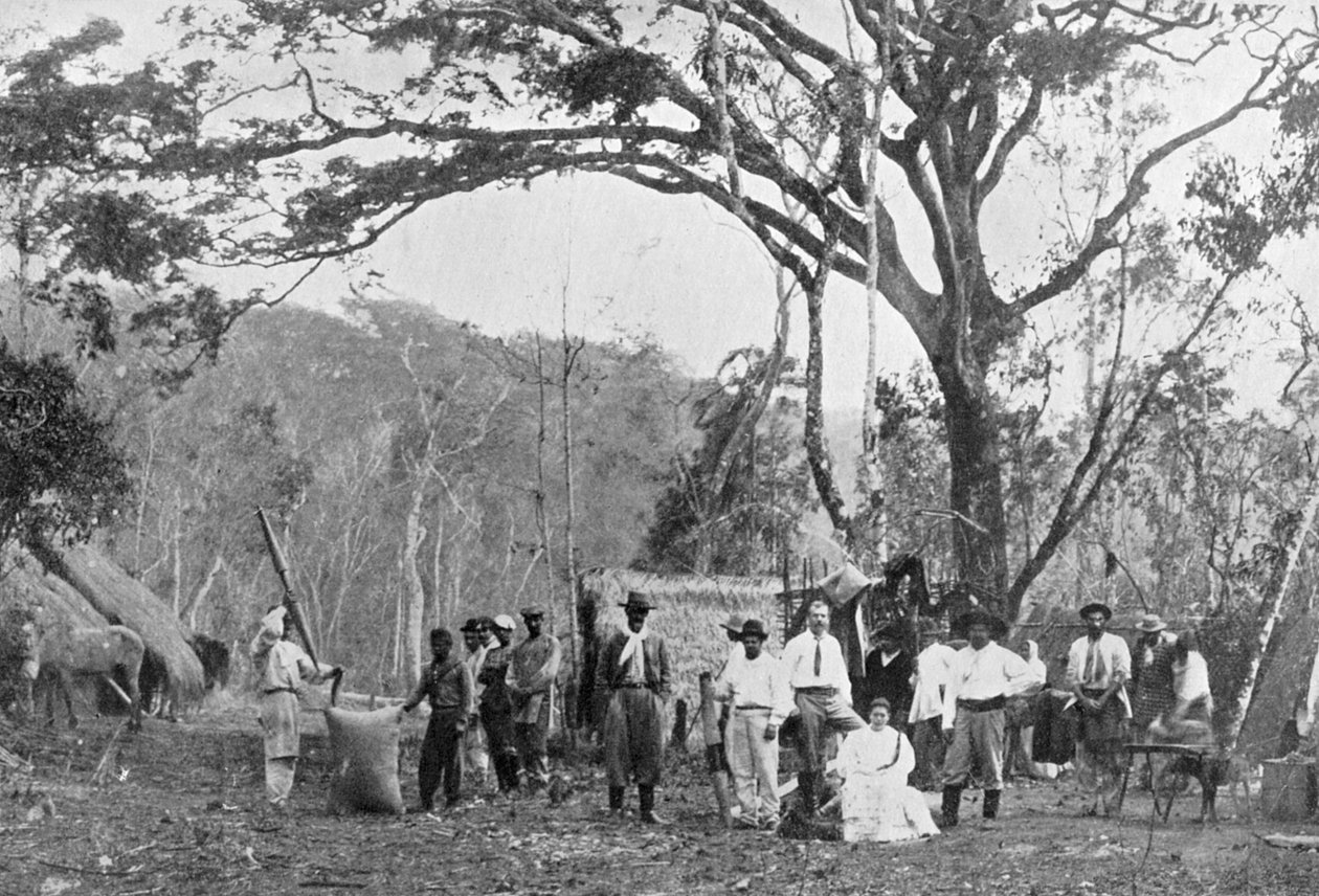 Paraguayansk tesamling, Paraguay, 1911 af Unbekannt