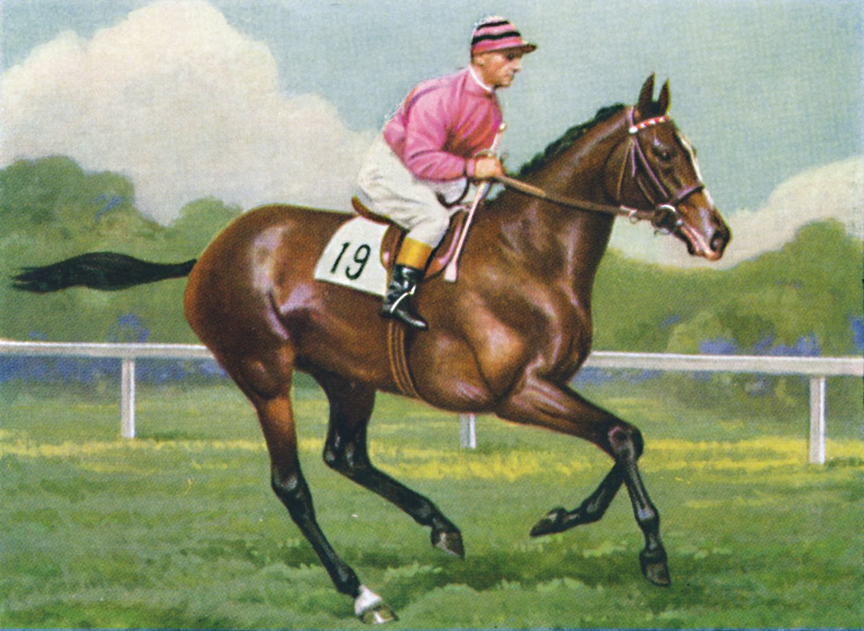 Pasch, Jockey: G. Richards, 1939 af Unbekannt