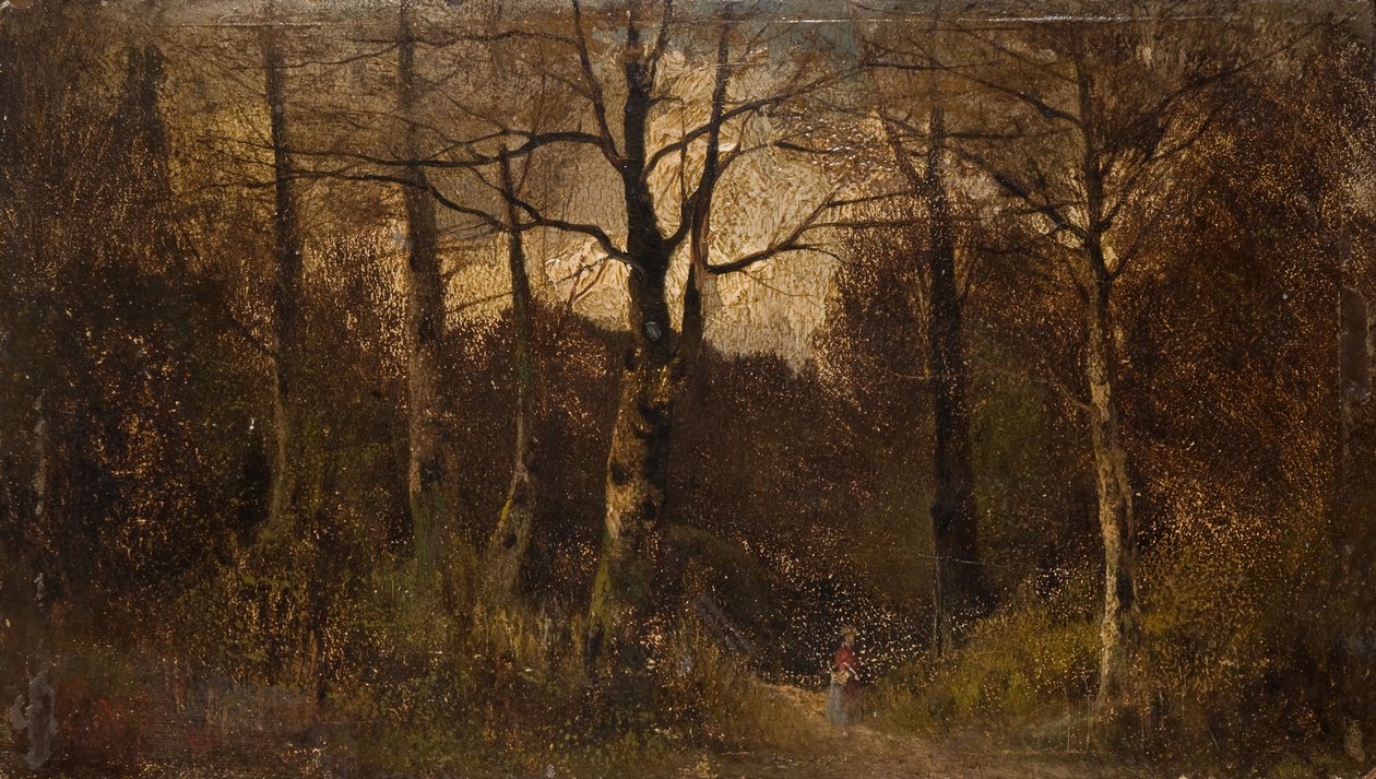 Sti gennem en skov, 1900. af Unbekannt