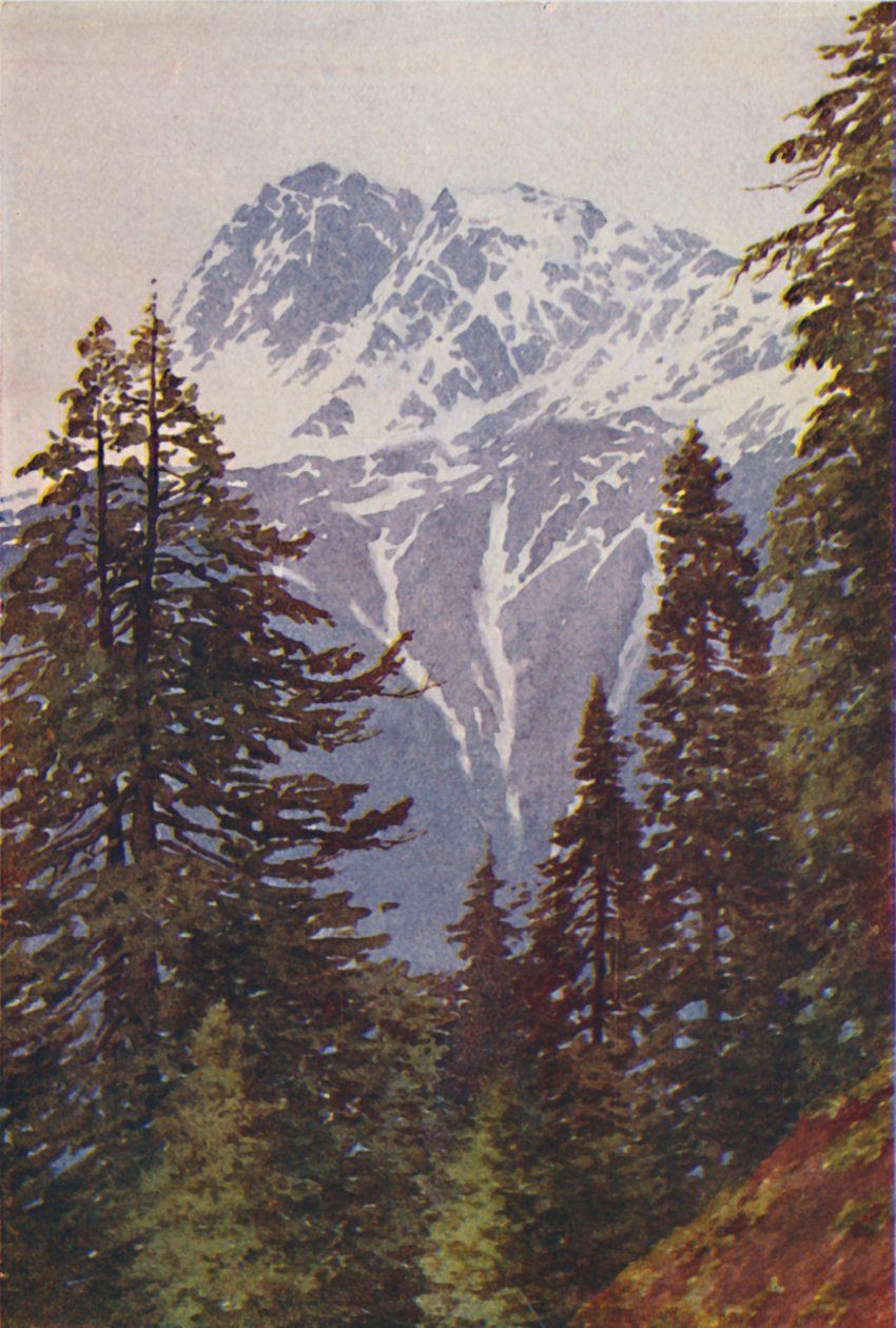 Top i Himalaya, 1924 af Unbekannt